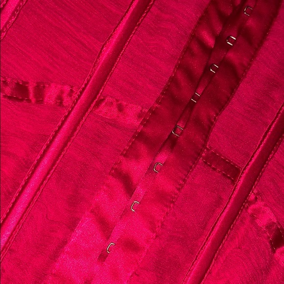 Hot Pink Corset - Picture 2 of 3